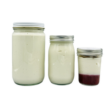 Load image into Gallery viewer, Probiotic Yogurt Plain Cashew 16oz Unsweetened (V, No Dairy) NO SHIPPING - ONLY PICKUP OR DELIVERY