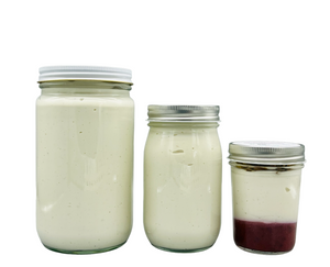 Plain Cashew Yogurt Probiotic 16oz Unsweetened (V, No Dairy) NO SHIPPING - ONLY PICKUP OR DELIVERY